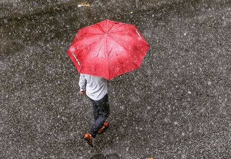 Bão số 2 tan thành vùng áp thấp, Bắc Bộ mưa giông diện rộng