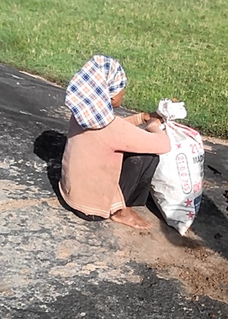 Mưu sinh nhờ "thần dược" ở rừng