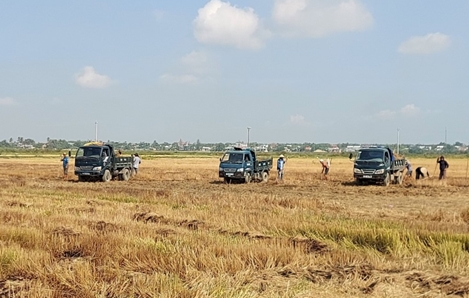 Ngang nhiên khai thác đất ruộng trái phép