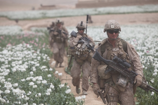 Afghanistan có còn là "quốc gia ma túy" khi Mỹ rút quân?