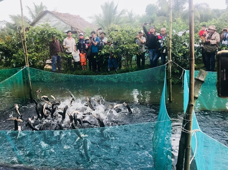 Cơ hội lên ngôi cho du lịch nông nghiệp