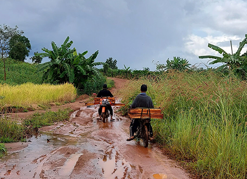 Rừng Mang Yang bị “xẻ thịt” dù nằm gần 2 chốt bảo vệ rừng