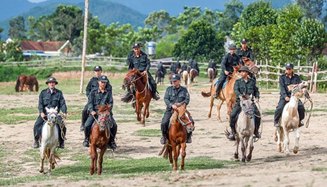 Tiếng vó ngựa trên đồi Bá Vân