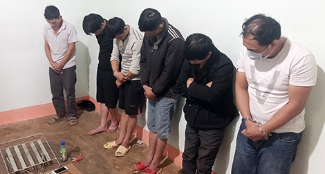 Truy tố 7 đối tượng trộm cắp chó