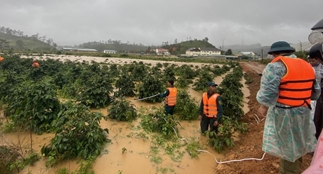 Giải cứu thành công 2 du khách, 2 người đang mất tích