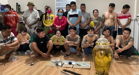 Phát hiện hổ ngâm nguyên con trong sới bạc vừa bị triệt phá