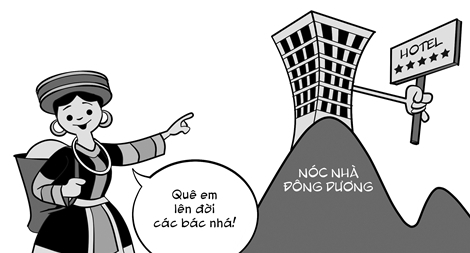 Phỏng vấn Hoa ban