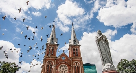 Những con chim bay đi…