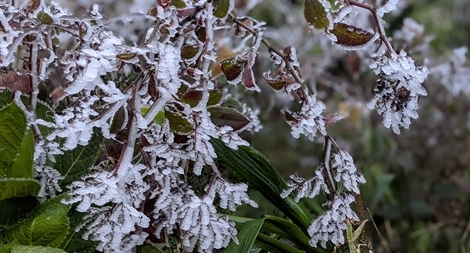 Băng tuyết xuất hiện trên đỉnh Phia Oắc ở Cao Bằng