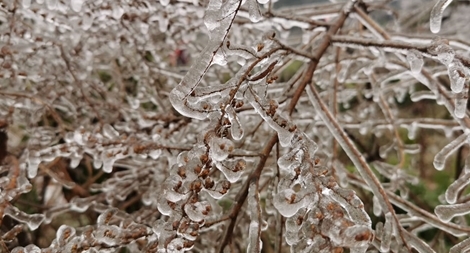 Băng tuyết phủ trắng Ô Quy Hồ