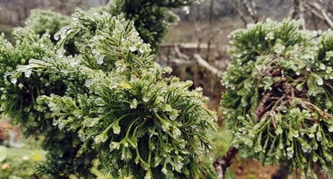 Miền Bắc hửng nắng nhưng vẫn rét cóng