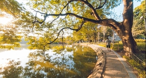 Miền Bắc trời hửng nắng, chuẩn bị đón không khí lạnh