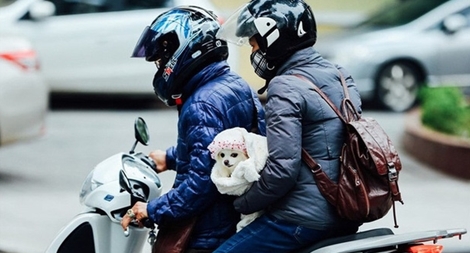 Miền Bắc rét đậm, nhiều nơi có mưa