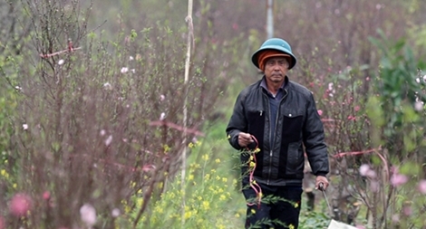 Hà Nội 28 Tết chuyển mưa rét, thấp nhất 13 độ C