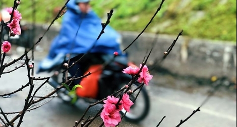 Đêm nay, miền Bắc đón mưa rét