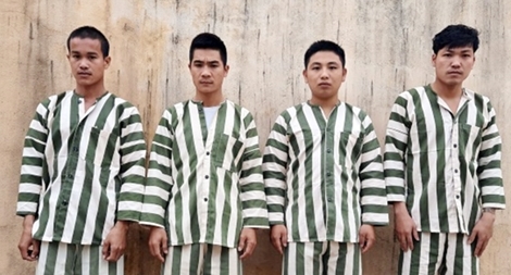 Khởi tố, bắt tạm giam 4 đối tượng khai thác gỗ trái phép