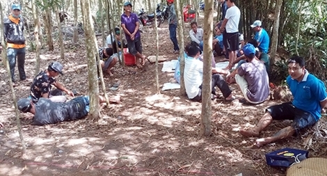 Triệt xóa ổ bạc trong vườn cây bạch đàn ngày giáp Tết