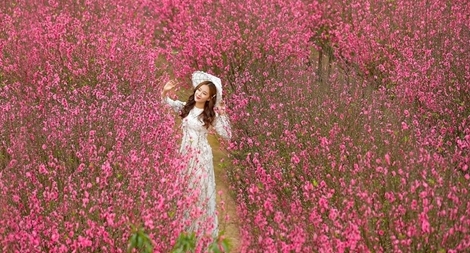 Mùng 2 Tết, Hà Nội sáng sương mù trưa chiều nắng đẹp