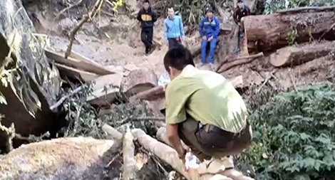 Cần những giải pháp quyết liệt, căn cơ hơn