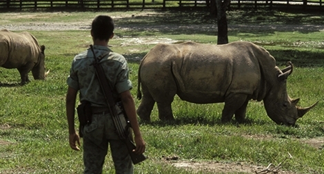 Trùm ma túy Escobar để lại hậu họa cho Colombia