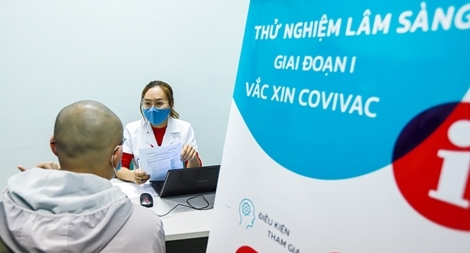 Vaccine Covivac đã có 400 tình nguyện viên đăng ký