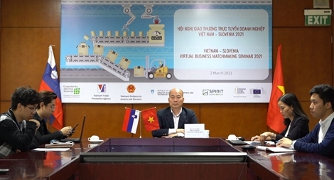 Đa dạng xúc tiến thương mại để hỗ trợ xuất khẩu