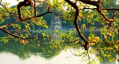 Sáng se lạnh, miền Bắc trưa chiều ấm dần lên