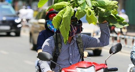 Miền Nam nắng nóng trên diện rộng