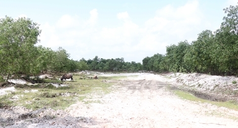 Quảng Trị ban hành văn bản chống “cò” đất thổi giá