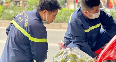 Thanh niên Công an quận Ba Đình giúp bà con Nghĩa Yên tiêu thụ quýt