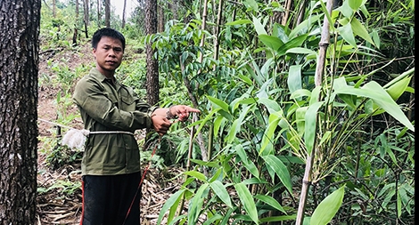 Xác người bên bờ suối và cuộc "giải mã" ly kỳ