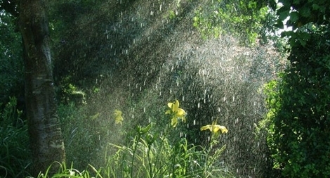 Bắc Bộ đề phòng mưa giông, lốc sét và mưa đá