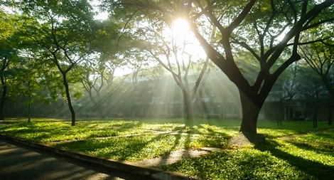 Miền Bắc tăng nhiệt nhanh, có nơi trên 35 độ