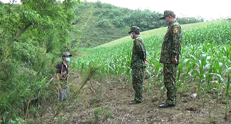 Kịp thời bắt giữ các đối tượng nhập cảnh trái phép