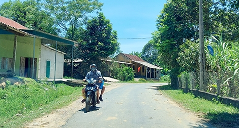 Bi kịch của một "gia đình ma túy"