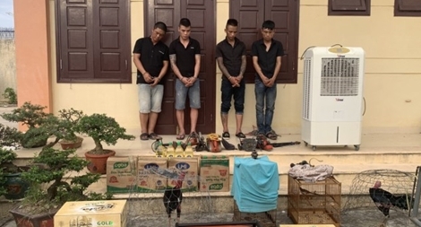 Nhóm đối tượng gây ra hàng chục vụ trộm bị bắt