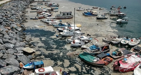 Tổng thống Thổ Nhĩ Kỳ hứa giải quyết vấn đề chất nhầy ở Biển Marmara