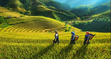 Bắc Bộ nắng nóng trở lại, vùng núi đề phòng lũ quét, sạt lở đất