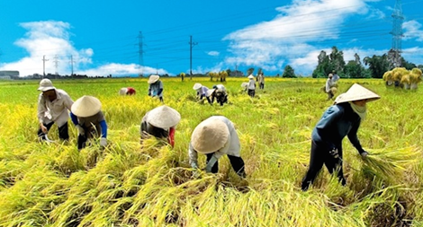 Nắng nóng khắp Bắc và Trung Bộ