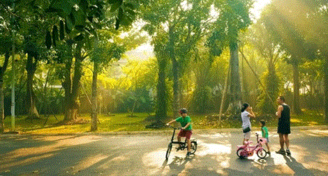 Miền Bắc hửng nắng, đan xen mưa giông