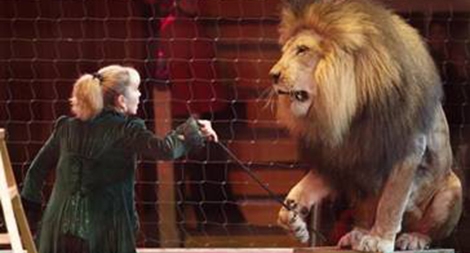 Pháp cấm biểu diễn xiếc thú