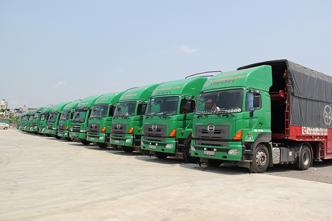 Phuong Anh Logistic takes lead in auto transportation in Vietnam | Báo ...