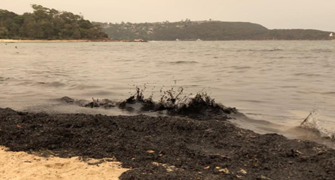 Biển Australia bị "nhuộm đen" vì cháy rừng, người dân hoảng sợ di tản