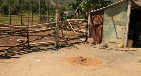 Đã bắt được nghi can sát hại thiếu nữ 18 tuổi do bị từ chối yêu