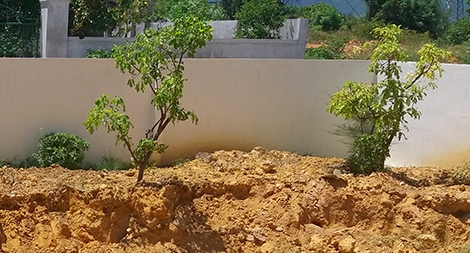 (SỐC) Lại phát hiện chất thải của Formosa trong công viên