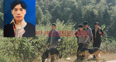 Huy động chó nghiệp vụ truy tìm nghi can vụ thảm án Lào Cai