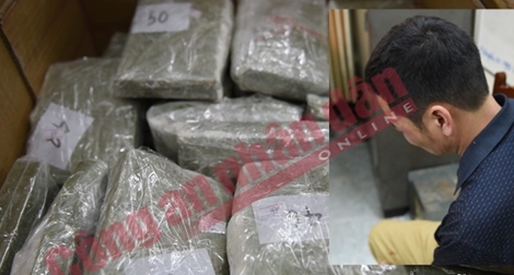 Tội phạm ma túy có thể kiếm 10 tỷ đồng trong 1 đêm