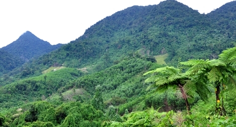 Sự thật bất ngờ về thông tin hai nữ sinh bị bắt cóc giữa rừng sâu