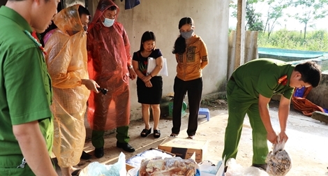 Kiểm tra kho hợp tác, phát hiện trên 1,1 tấn thực phẩm bốc mùi