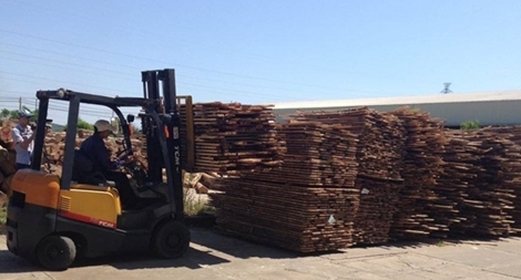 Công nghiệp chế biến gỗ của Việt Nam đang "khát" nguyên liệu